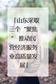 山东采取三个“聚焦” 推动民营经济服务业高质量发展