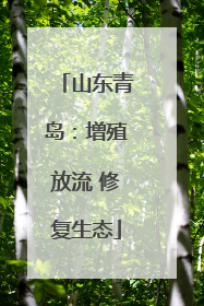 山东青岛：增殖放流 修复生态
