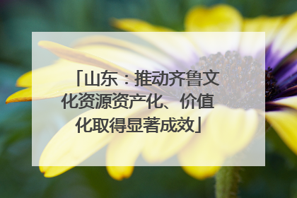 山东：推动齐鲁文化资源资产化、价值化取得显著成效
