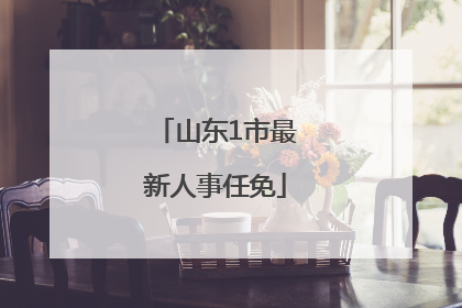山东1市最新人事任免
