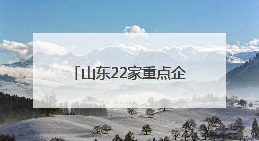 山东22家重点企业亮相第九届丝绸之路国际博览会