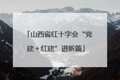 山西省红十字会“党建＋红建”谱新篇