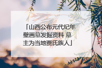 山西公布元代纪年壁画墓发掘资料 墓主为当地贾氏族人