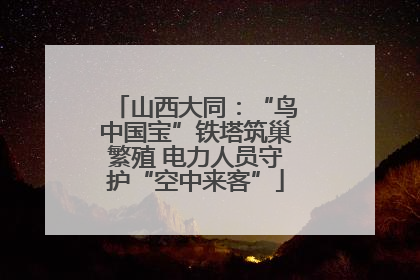 山西大同：“鸟中国宝”铁塔筑巢繁殖 电力人员守护“空中来客”