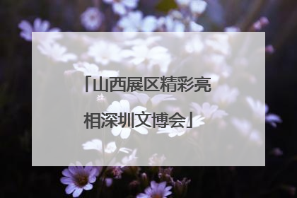 山西展区精彩亮相深圳文博会