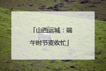 山西运城：端午时节麦收忙