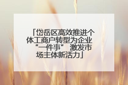 岱岳区高效推进个体工商户转型为企业“一件事” 激发市场主体新活力