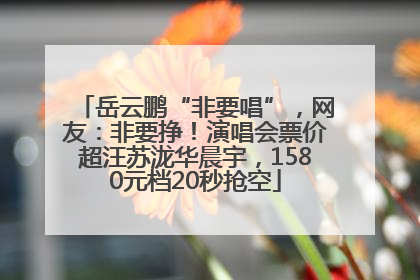 岳云鹏“非要唱”，网友：非要挣！演唱会票价超汪苏泷华晨宇，1580元档20秒抢空