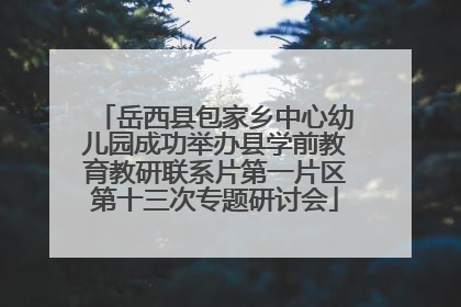 岳西县包家乡中心幼儿园成功举办县学前教育教研联系片第一片区第十三次专题研讨会