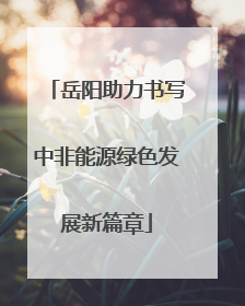 岳阳助力书写中非能源绿色发展新篇章