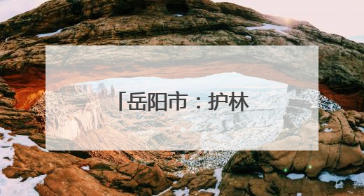 岳阳市：护林管理新路径全力守护青山绿水
