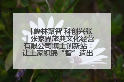 峰林聚智 科创兴张丨张家界旅典文化经营有限公司博士创新站：让土家织锦“智”造出非遗新传奇