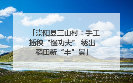 崇阳县三山村：手工插秧“慢功夫” 绣出稻田新“丰”景