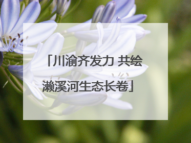 川渝齐发力 共绘濑溪河生态长卷