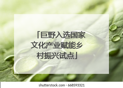 巨野入选国家文化产业赋能乡村振兴试点