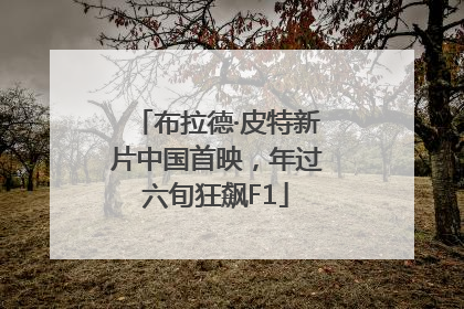 布拉德·皮特新片中国首映，年过六旬狂飙F1