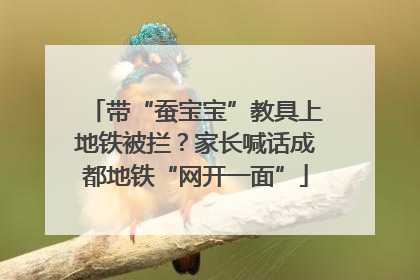 带“蚕宝宝”教具上地铁被拦？家长喊话成都地铁“网开一面”
