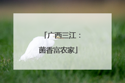 广西三江：菌香富农家