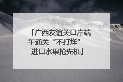 广西友谊关口岸端午通关“不打烊” 进口水果抢先机