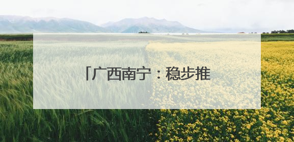 广西南宁：稳步推进城中村改造项目
