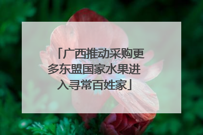 广西推动采购更多东盟国家水果进入寻常百姓家