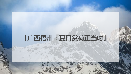 广西梧州：夏日赏荷正当时