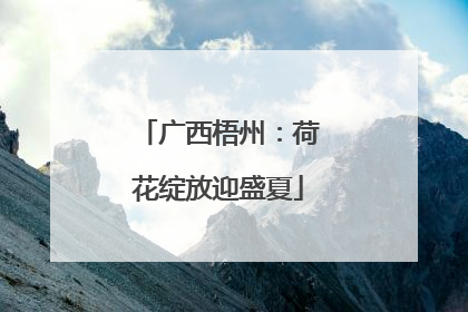广西梧州：荷花绽放迎盛夏