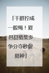 干群拧成一股绳！夏邑县骆集乡争分夺秒促夏种