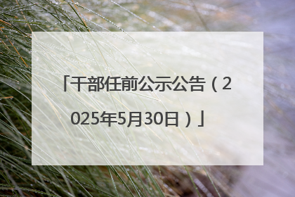 干部任前公示公告（2025年5月30日）