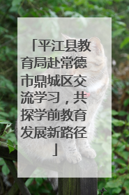 平江县教育局赴常德市鼎城区交流学习，共探学前教育发展新路径
