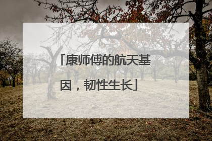 康师傅的航天基因，韧性生长