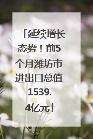 延续增长态势！前5个月潍坊市进出口总值1539.4亿元