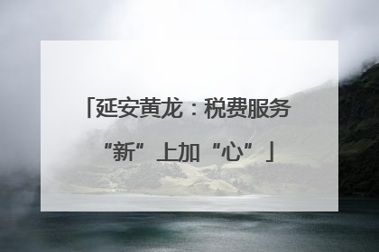 延安黄龙：税费服务“新”上加“心”