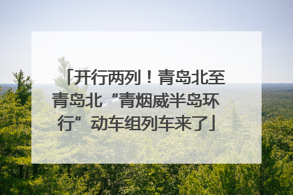 开行两列！青岛北至青岛北“青烟威半岛环行”动车组列车来了