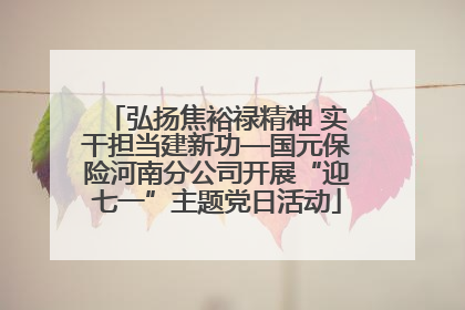 弘扬焦裕禄精神 实干担当建新功—国元保险河南分公司开展“迎七一”主题党日活动
