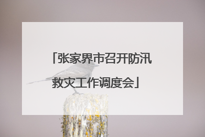 张家界市召开防汛救灾工作调度会