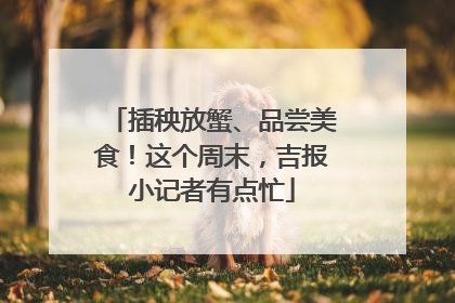 插秧放蟹、品尝美食！这个周末，吉报小记者有点忙