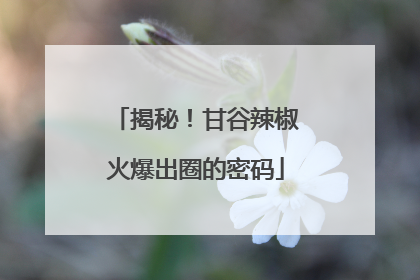 揭秘！甘谷辣椒火爆出圈的密码