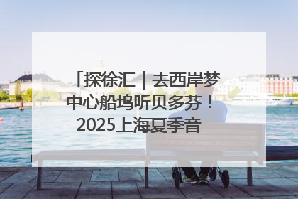 探徐汇｜去西岸梦中心船坞听贝多芬！2025上海夏季音乐节公布节目阵容