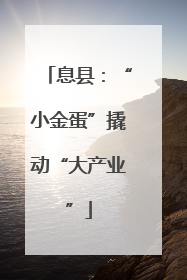 息县：“小金蛋”撬动“大产业”