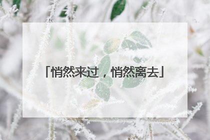 悄然来过，悄然离去