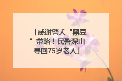 感谢警犬“黑豆”带路！民警深山寻回75岁老人