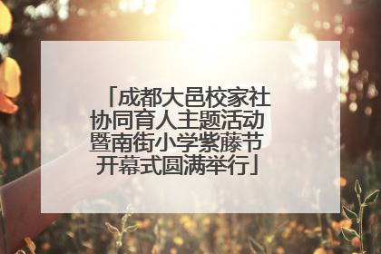 成都大邑校家社协同育人主题活动暨南街小学紫藤节开幕式圆满举行