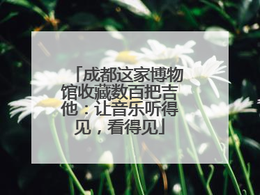 成都这家博物馆收藏数百把吉他：让音乐听得见，看得见