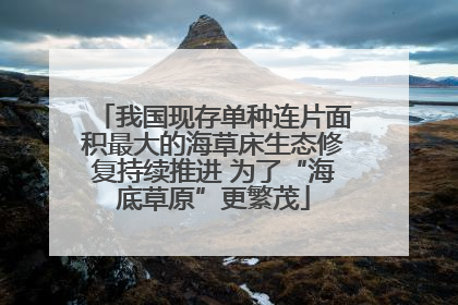 我国现存单种连片面积最大的海草床生态修复持续推进 为了“海底草原”更繁茂