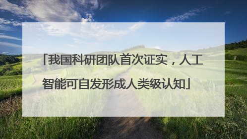 我国科研团队首次证实，人工智能可自发形成人类级认知