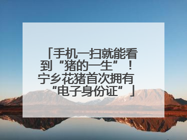 手机一扫就能看到“猪的一生”！宁乡花猪首次拥有“电子身份证”
