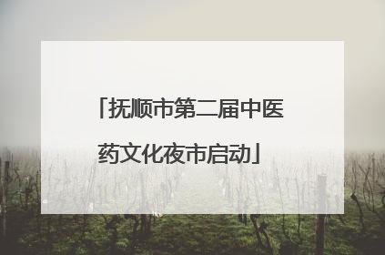抚顺市第二届中医药文化夜市启动
