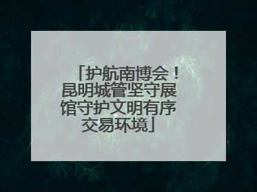 护航南博会！昆明城管坚守展馆守护文明有序交易环境