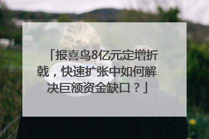 报喜鸟8亿元定增折戟，快速扩张中如何解决巨额资金缺口？